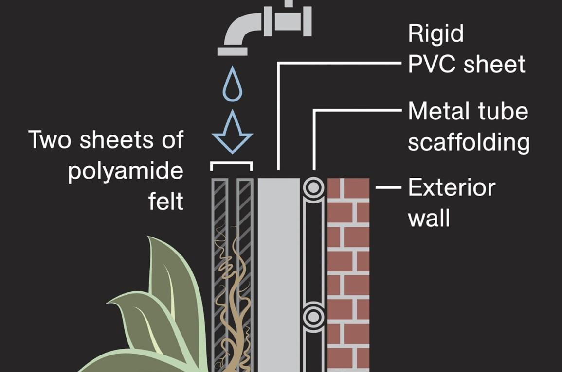 green wall 2.jpg