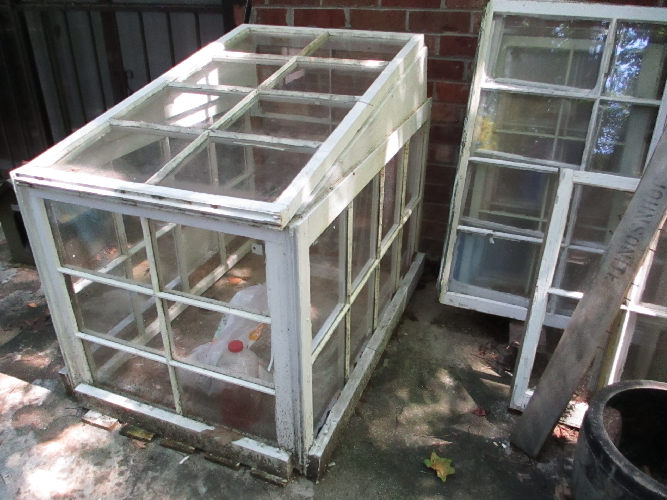 greenhouse 2.JPG