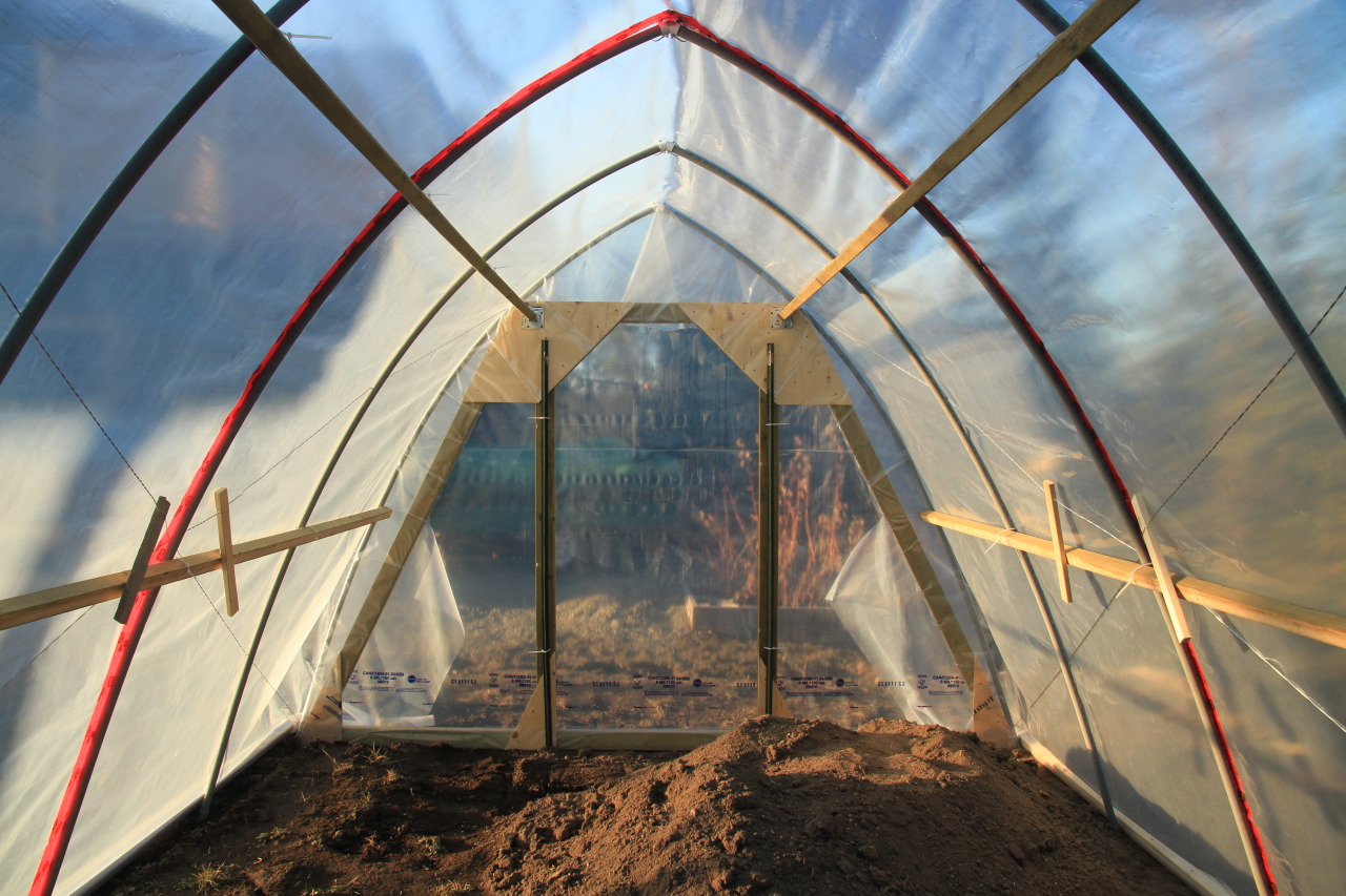 greenhouse_09.jpg