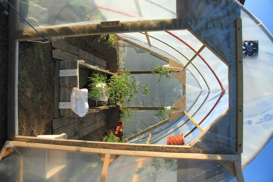 greenhouse_15.jpg