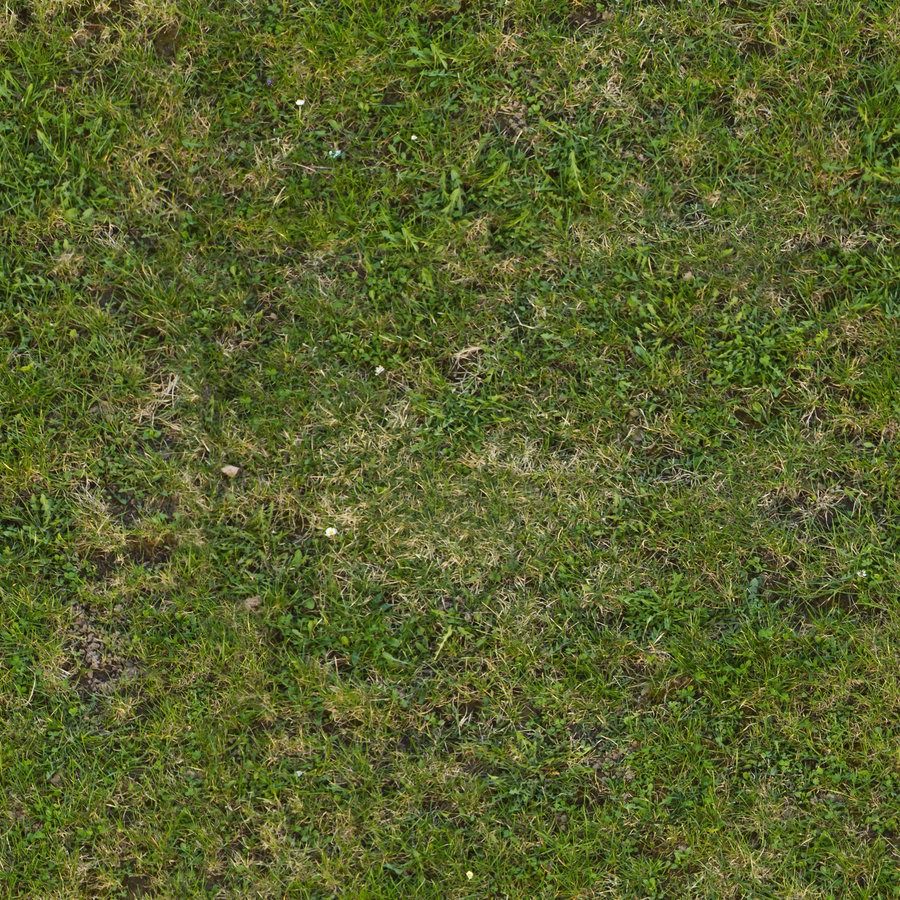 groundTexture.jpg