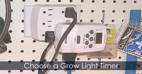 grow-light-timer.jpg