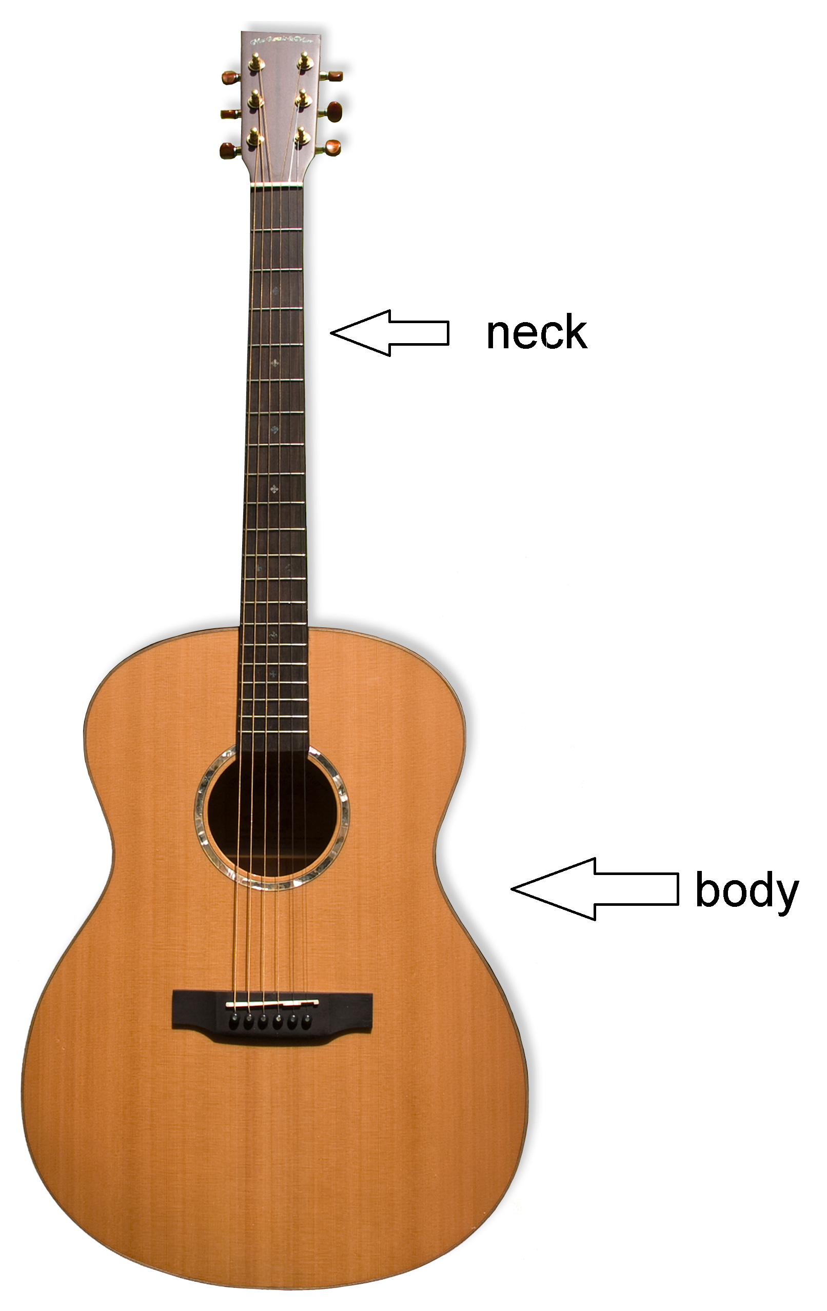 guitar anatomy.png