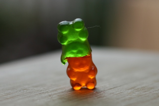 gummi14.jpg