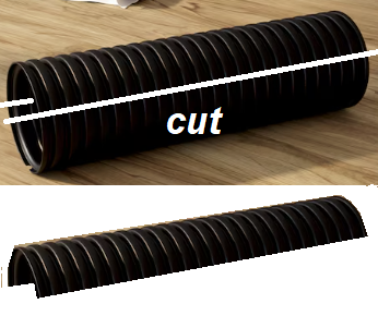 gut tube.png