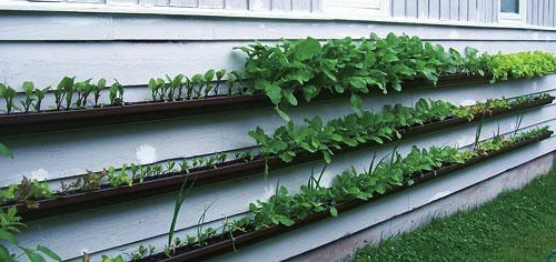 gutter-garden-1.jpg