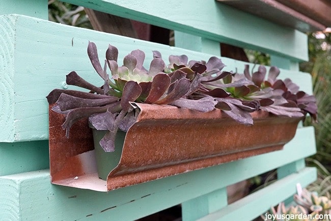 gutters-used-as-containers-places-in-pallets-painted-tourquise.jpg