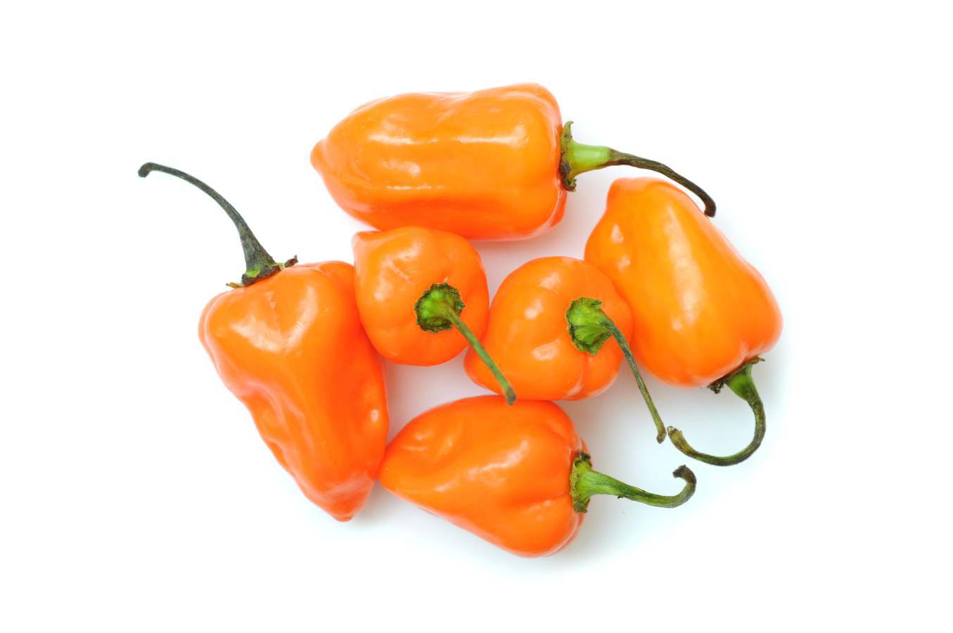 habanero-peppers-orange-1.jpg