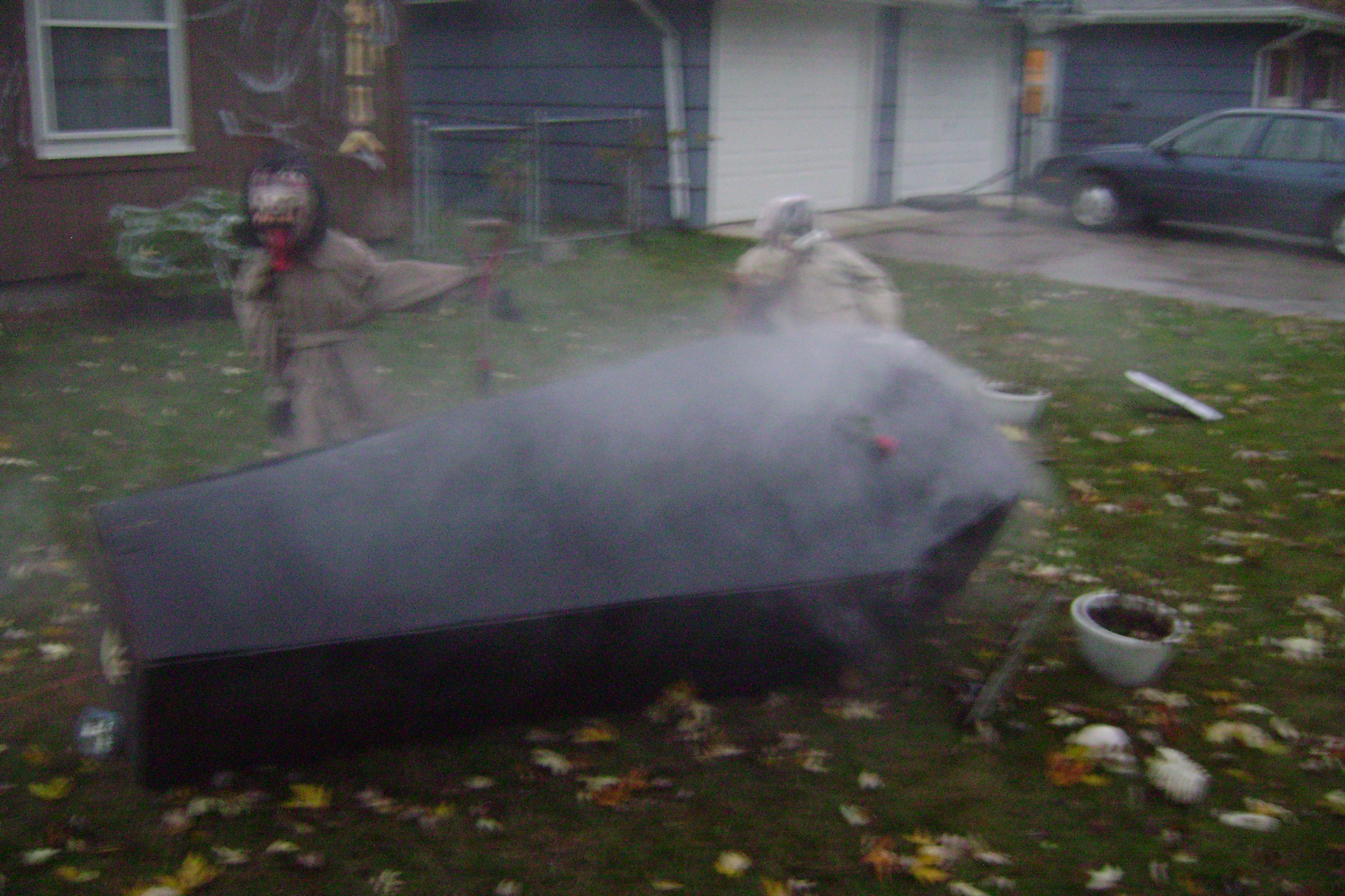 halloween2009 026.jpg