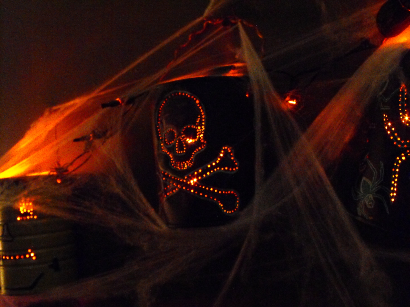 halloween_decor_2010 (13).JPG