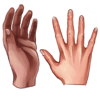 hand cover.jpg