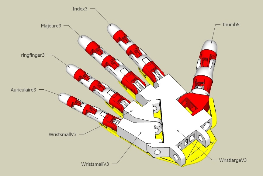 hand diagram.jpg