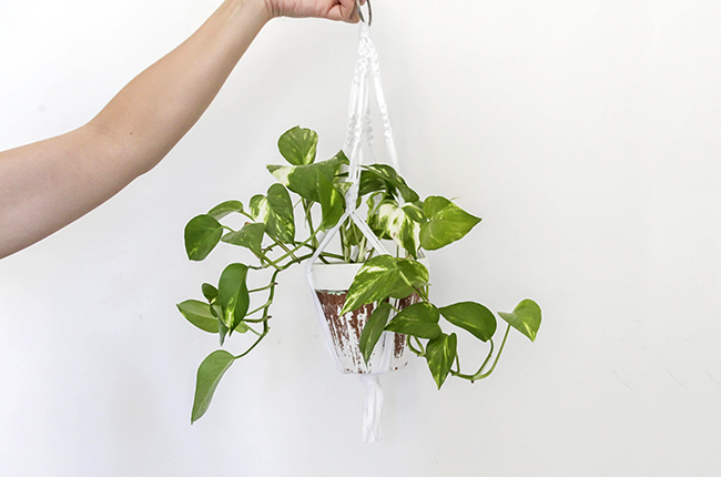 hanger-27.jpg