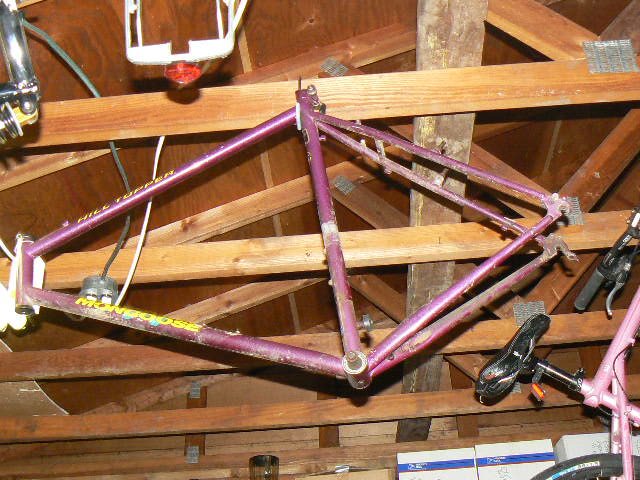 hanging bike.jpg