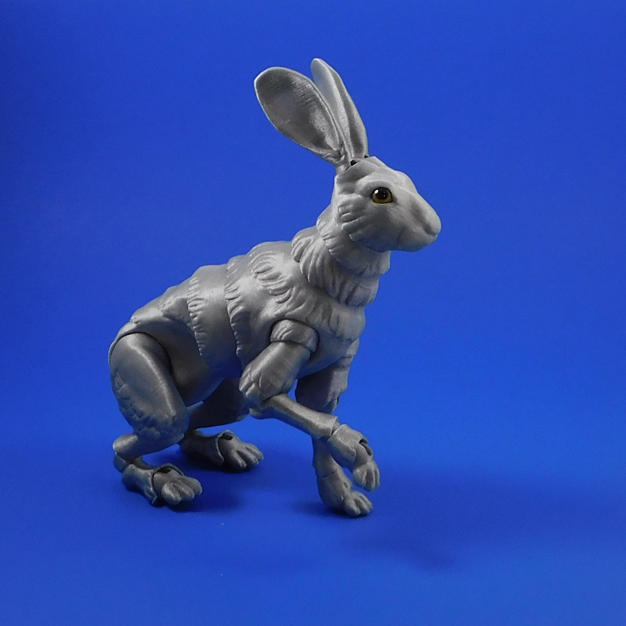 hare_square_4.jpg