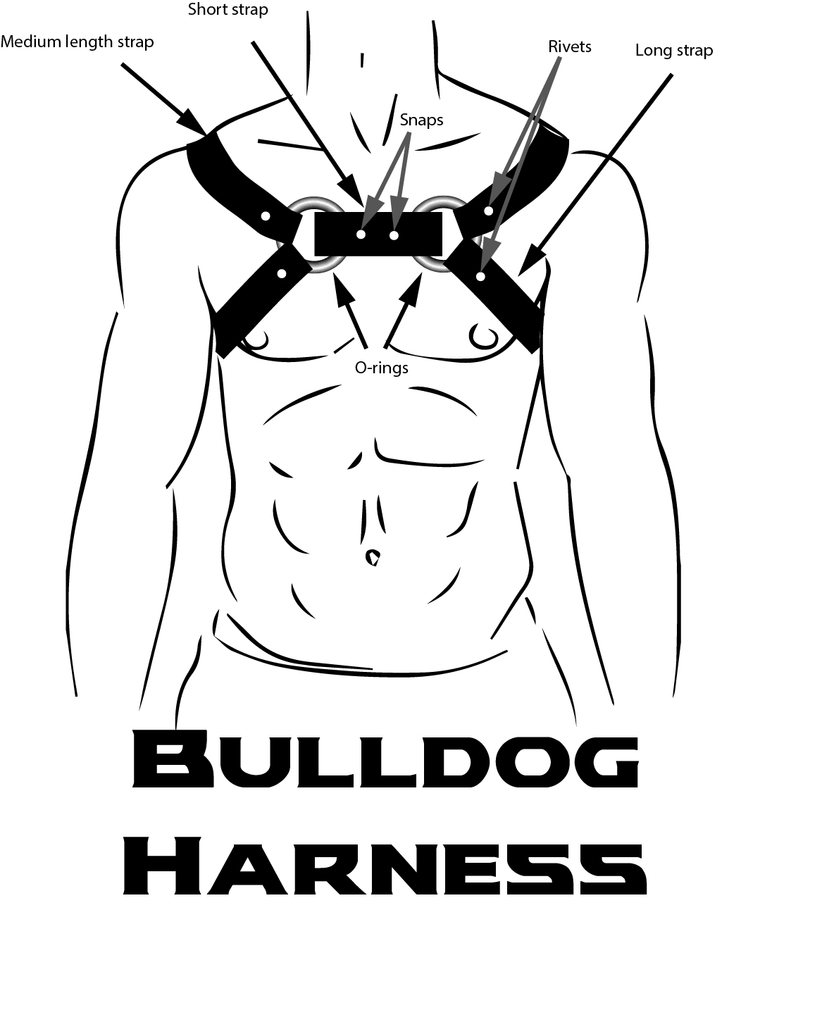 harness diagram.jpg