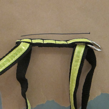 harness-sharpie-line.jpg