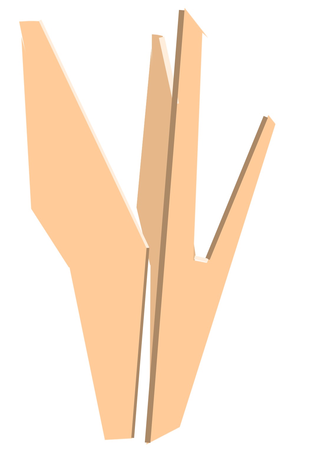 head ass.jpg
