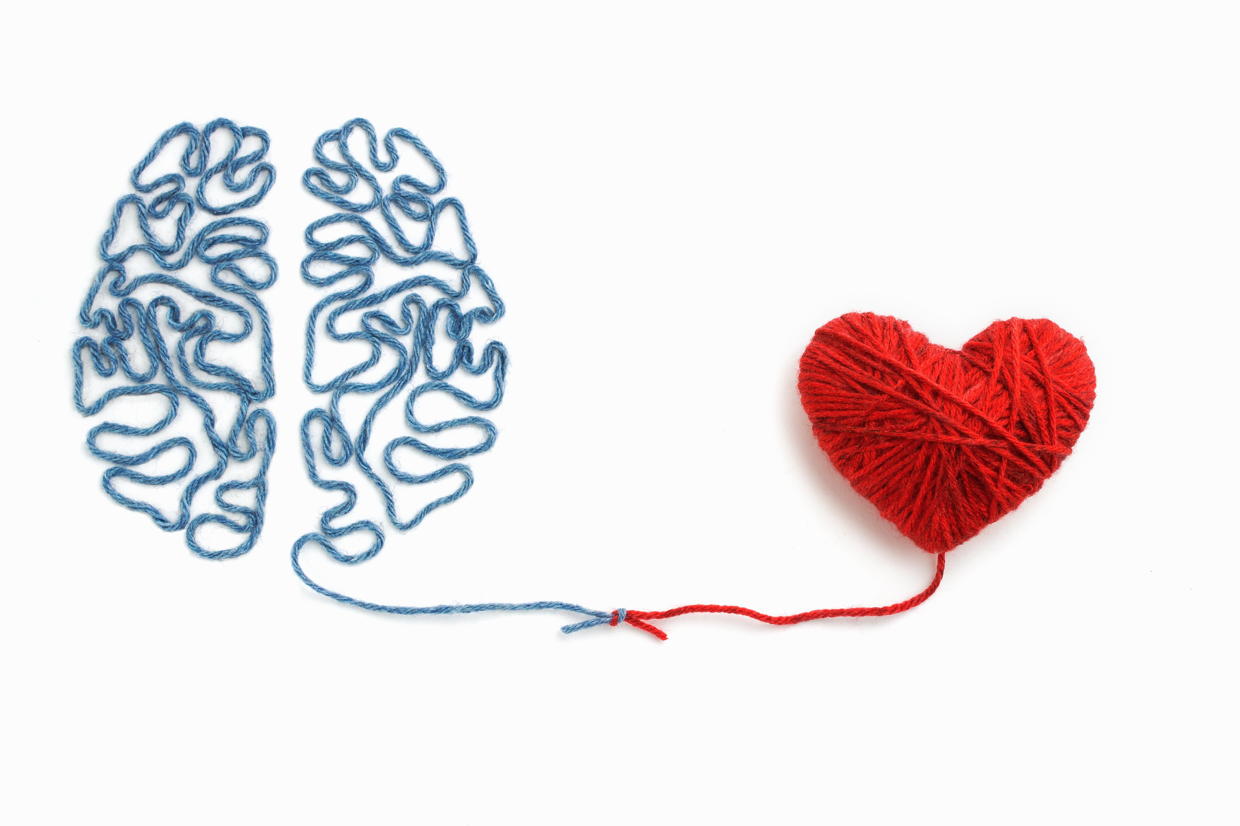 heart-and-brain.jpg