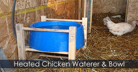 heated-chicken-waterer.jpg