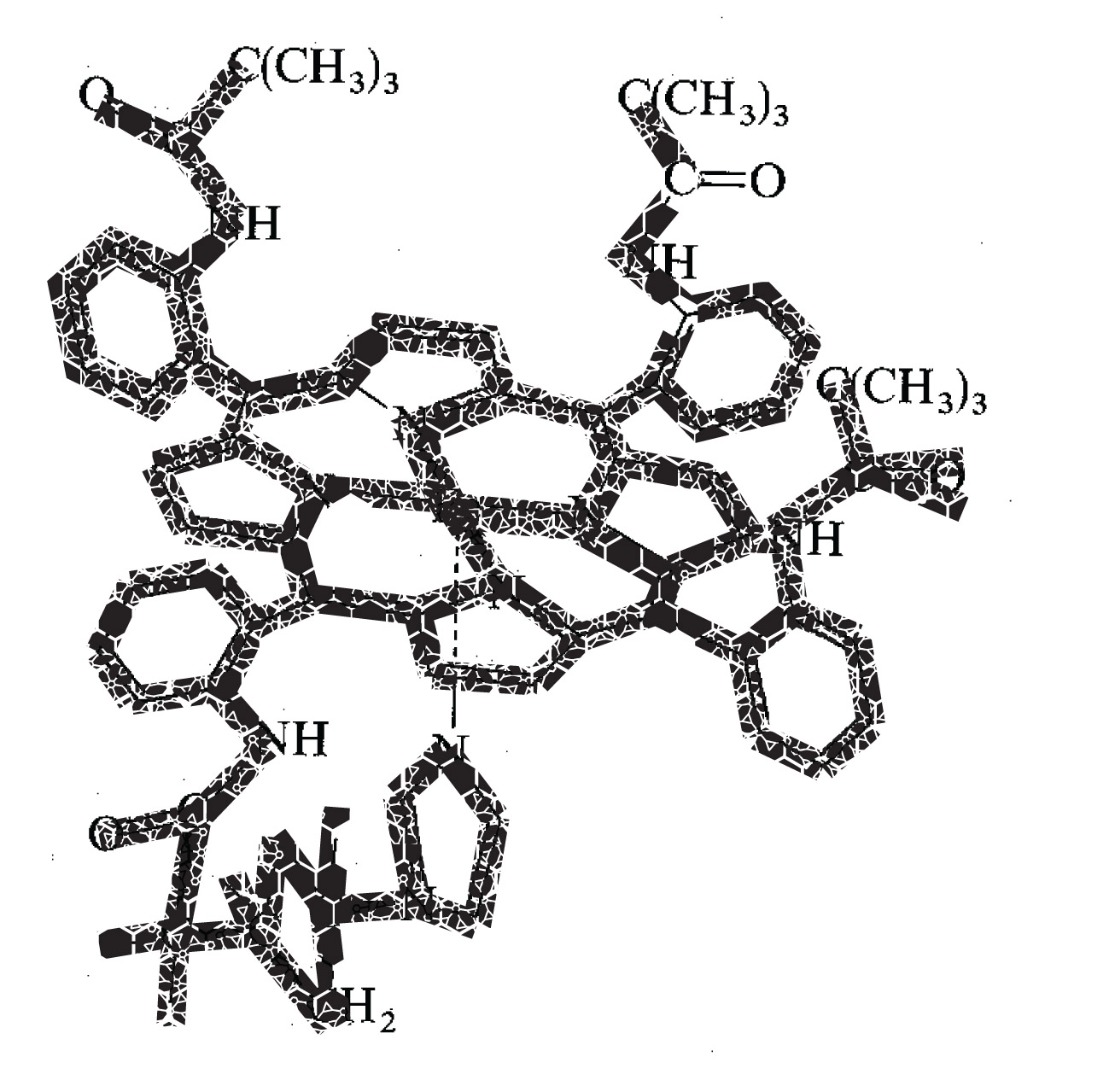 hemoglobin outlines.jpg