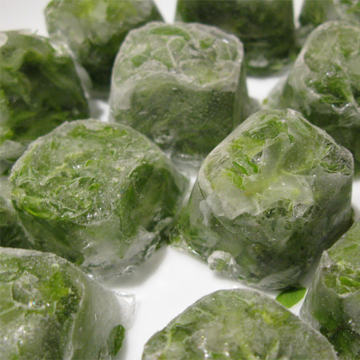 herbcubes.jpg