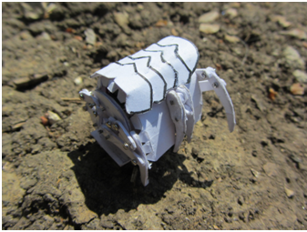 hexapod8.bmp