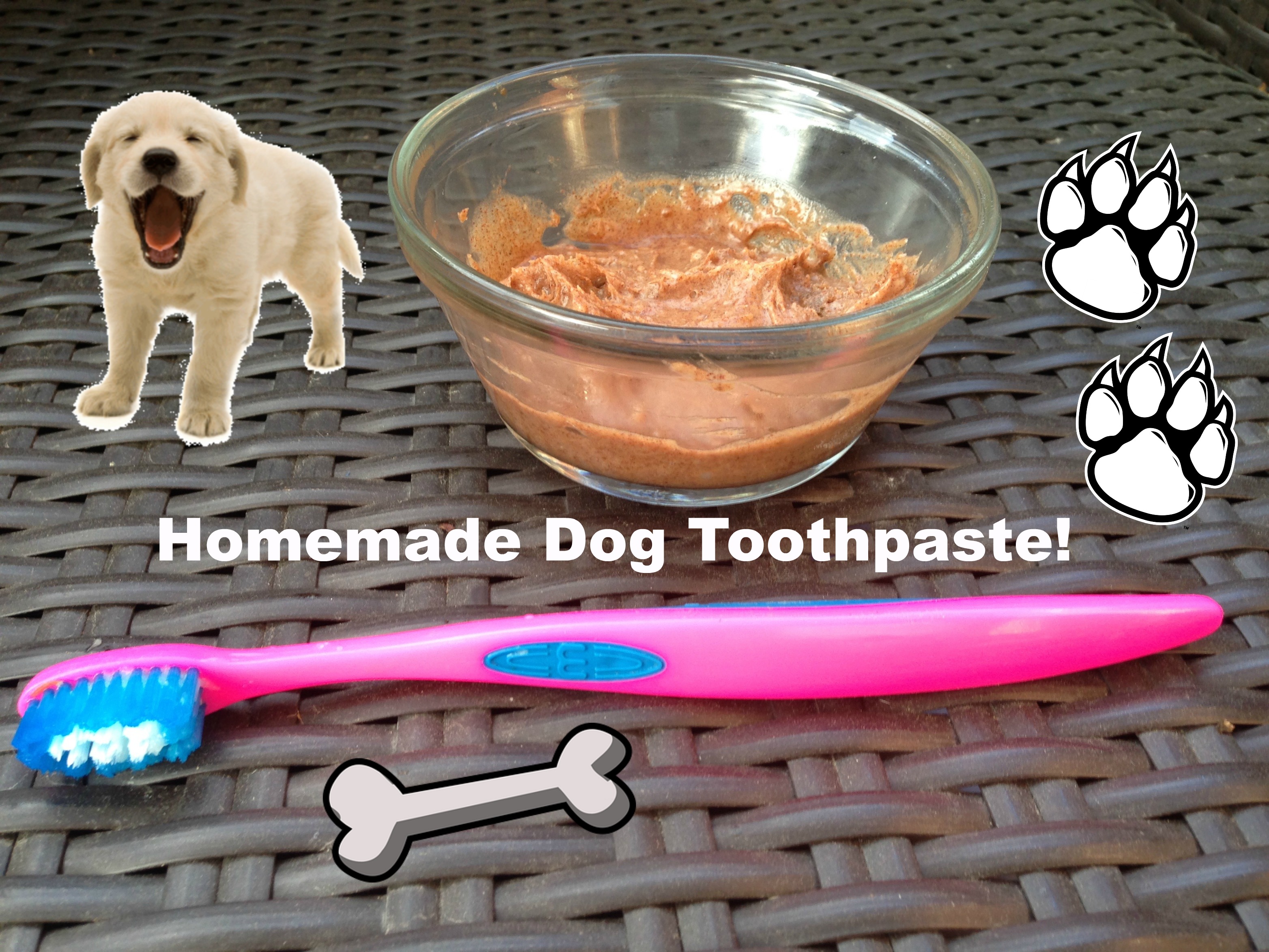 hmdogtoothpaste2.jpg