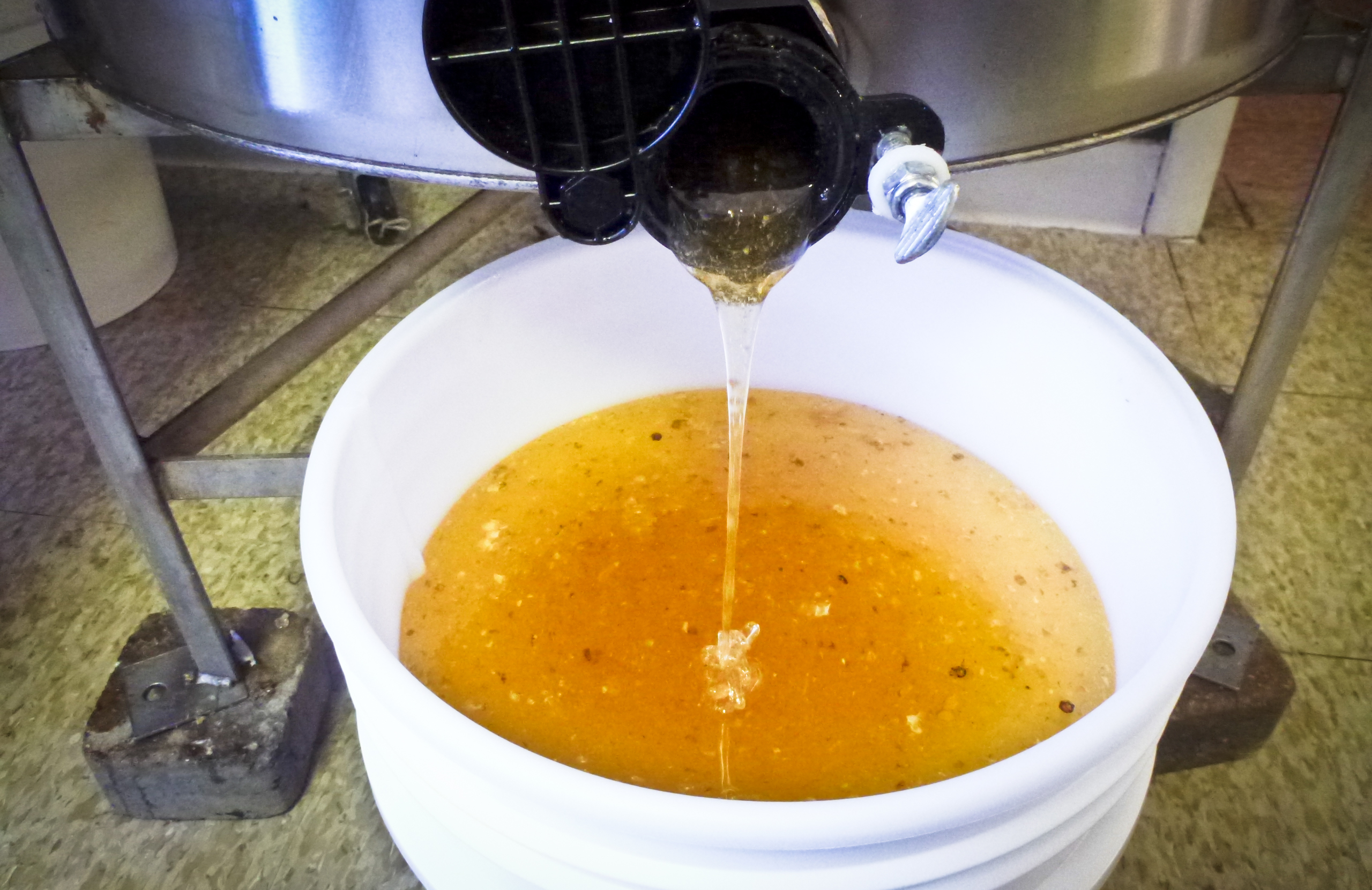 honey extraction-11.jpg