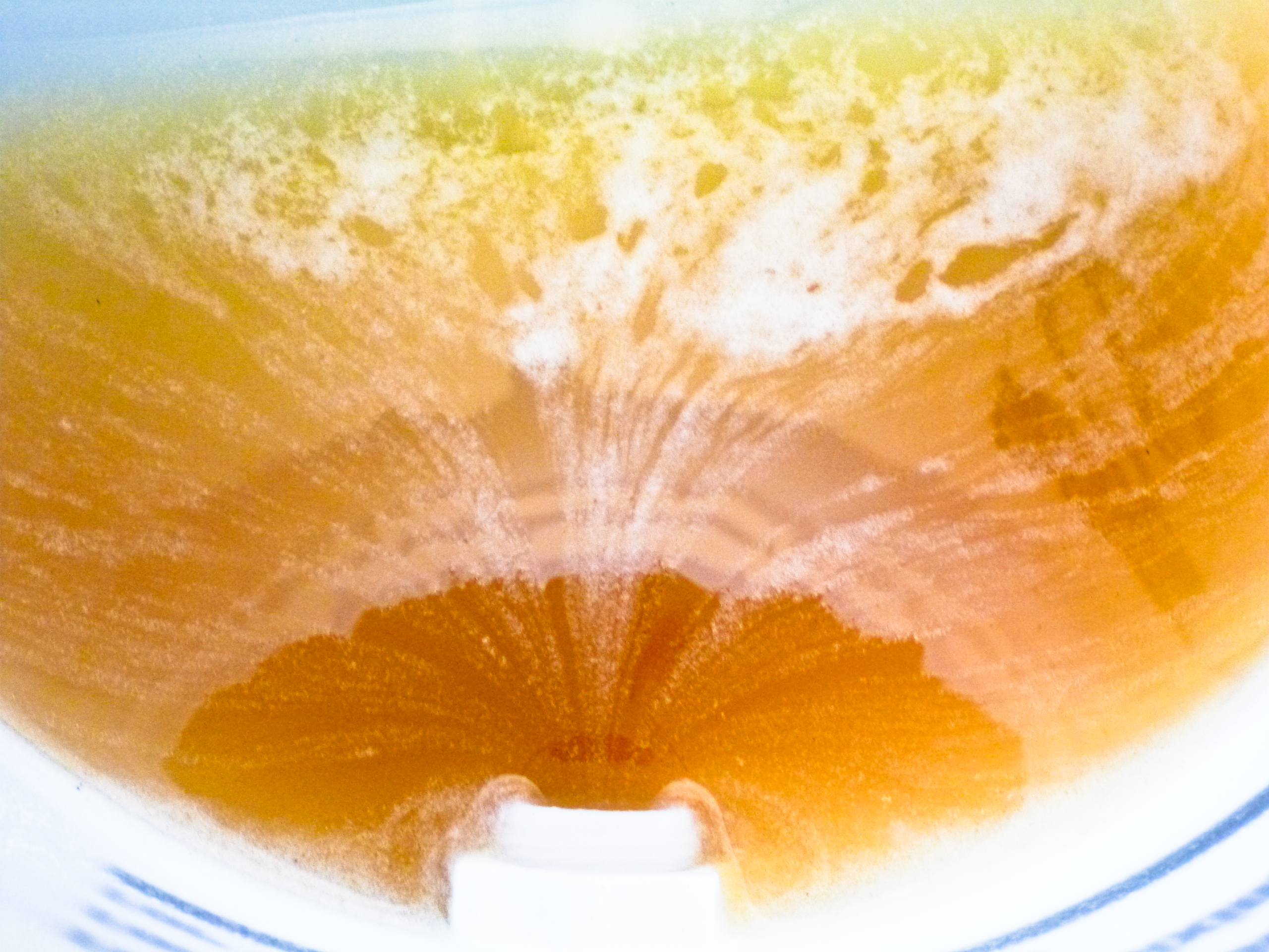 honey extraction-15.jpg