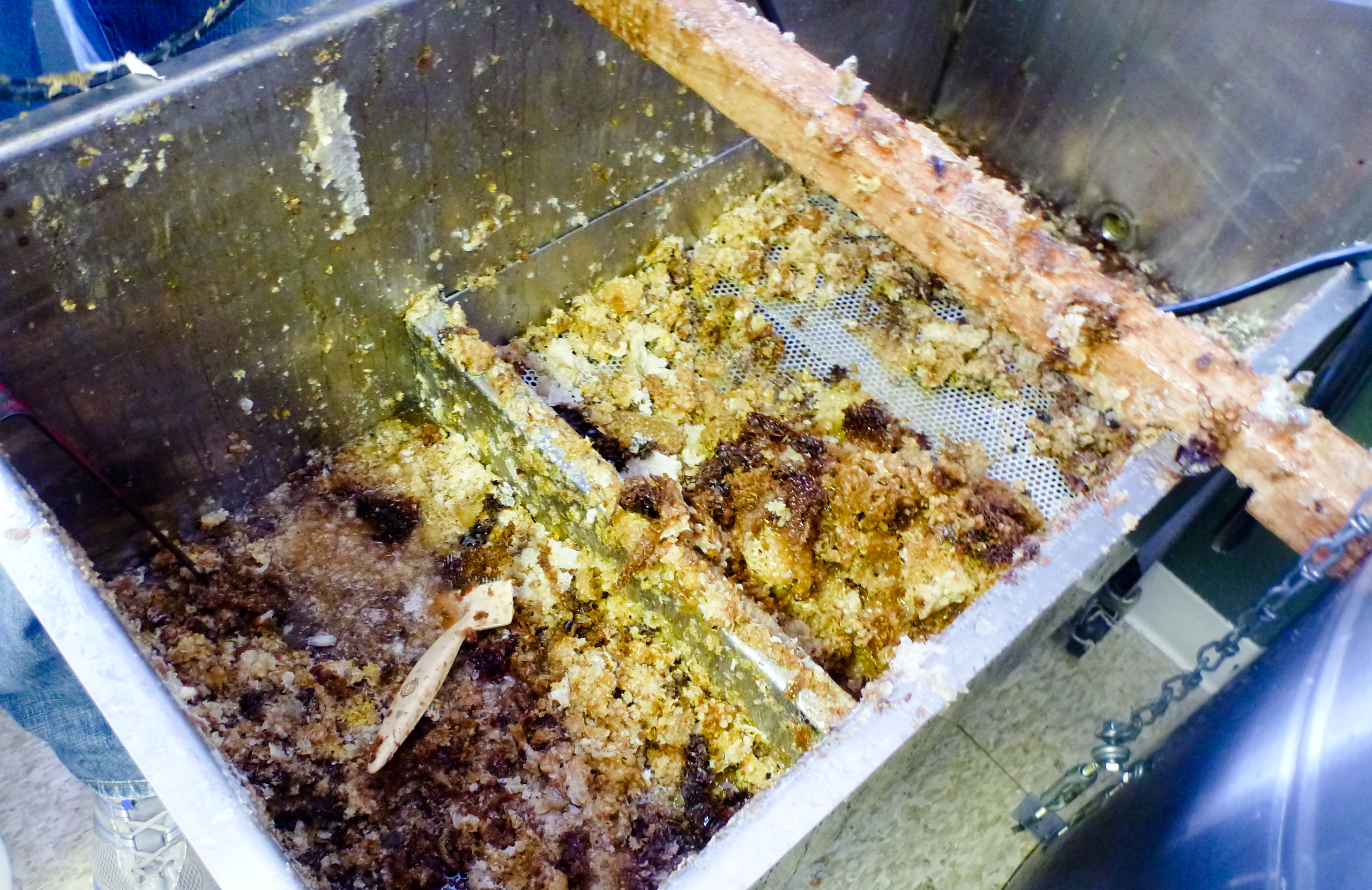 honey extraction-3.jpg