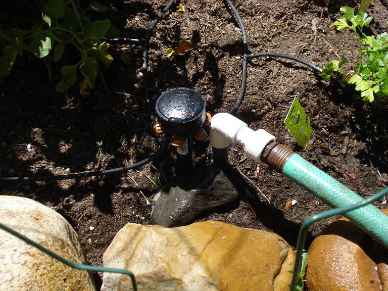 hooked up for irrigation.JPG