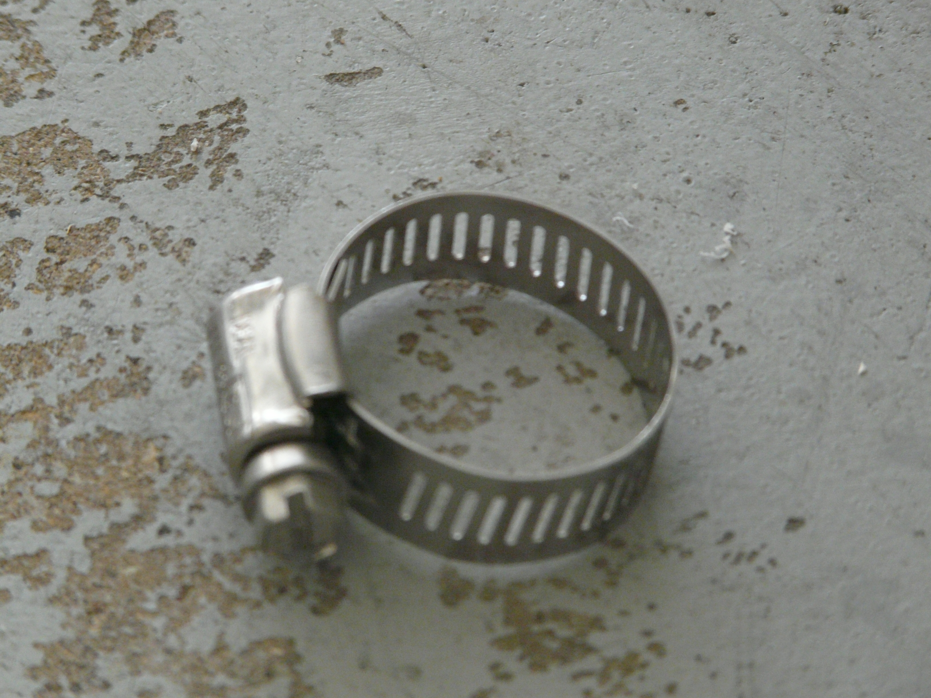 hose clamp.JPG