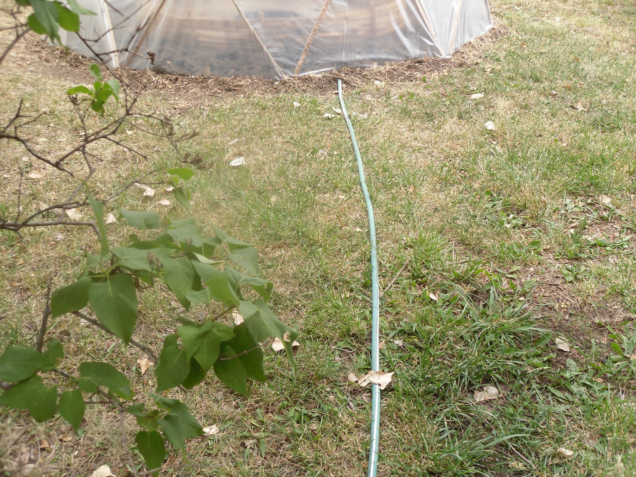 hose to greenhouse.jpg