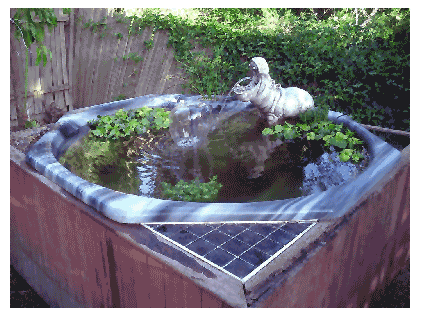 hot-tub-pond.gif