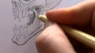 how to draw vampire skulls.jpg