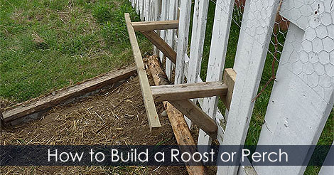 how-to-build-chicken-perch.jpg