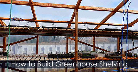 how-to-build-greenhouse-shelving.jpg