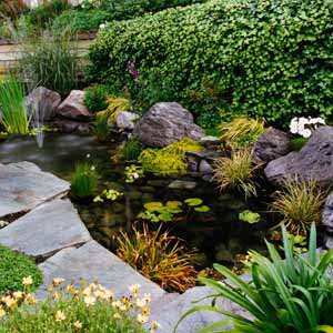 how-to-design-a-garden-with-water-features0.jpg