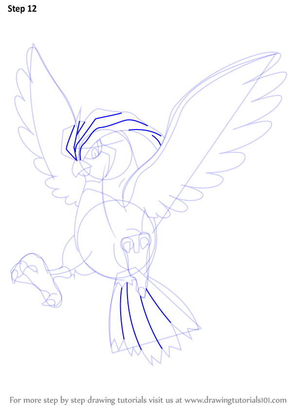 how-to-draw-Pidgeotto-from-Pokemon-step-12.png