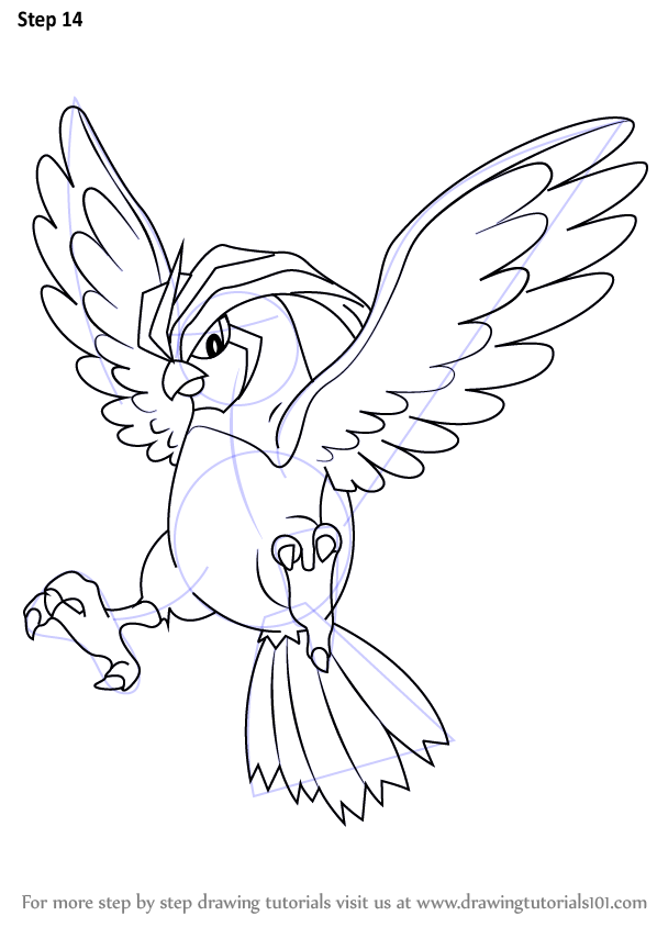 how-to-draw-Pidgeotto-from-Pokemon-step-14.png