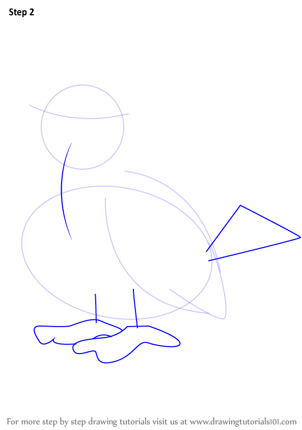 how-to-draw-Pidgey-from-Pokemon-step-2.png