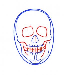 how-to-draw-a-realistic-skull-step-3[1].jpg