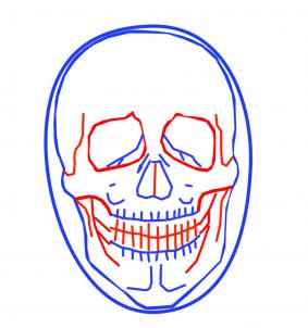 how-to-draw-a-realistic-skull-step-4[1].jpg