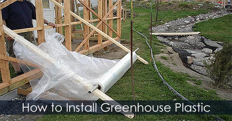 how-to-install-greenhouse-plastic.jpg