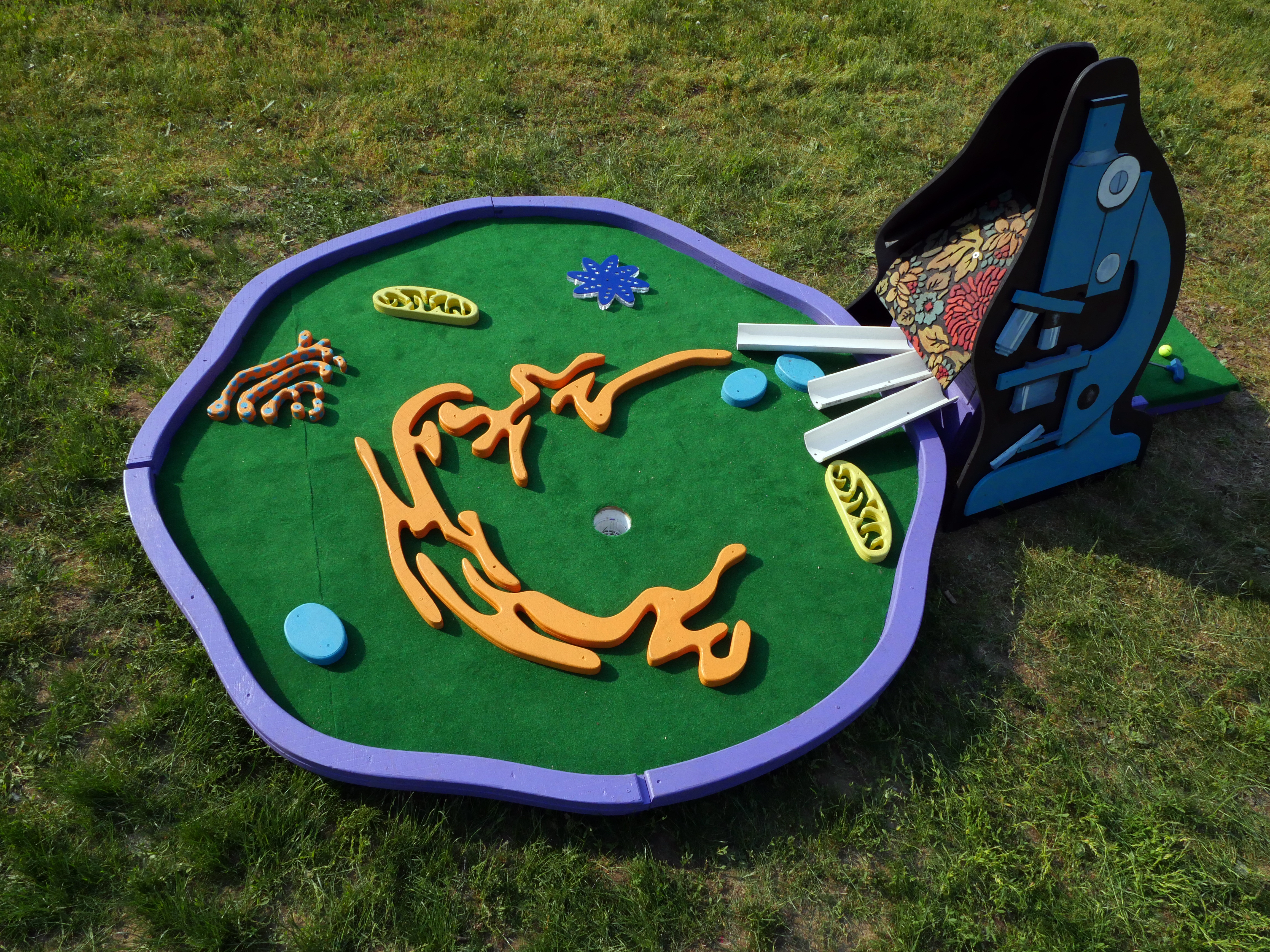 human-cell-mini-golf-44.jpg