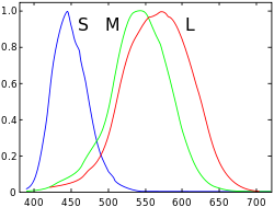 human_eye_sensitivity.png