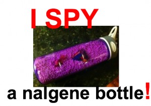 i-spy.jpg