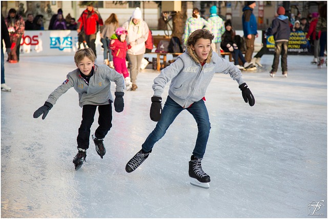 ice-skating-235547_640.jpg