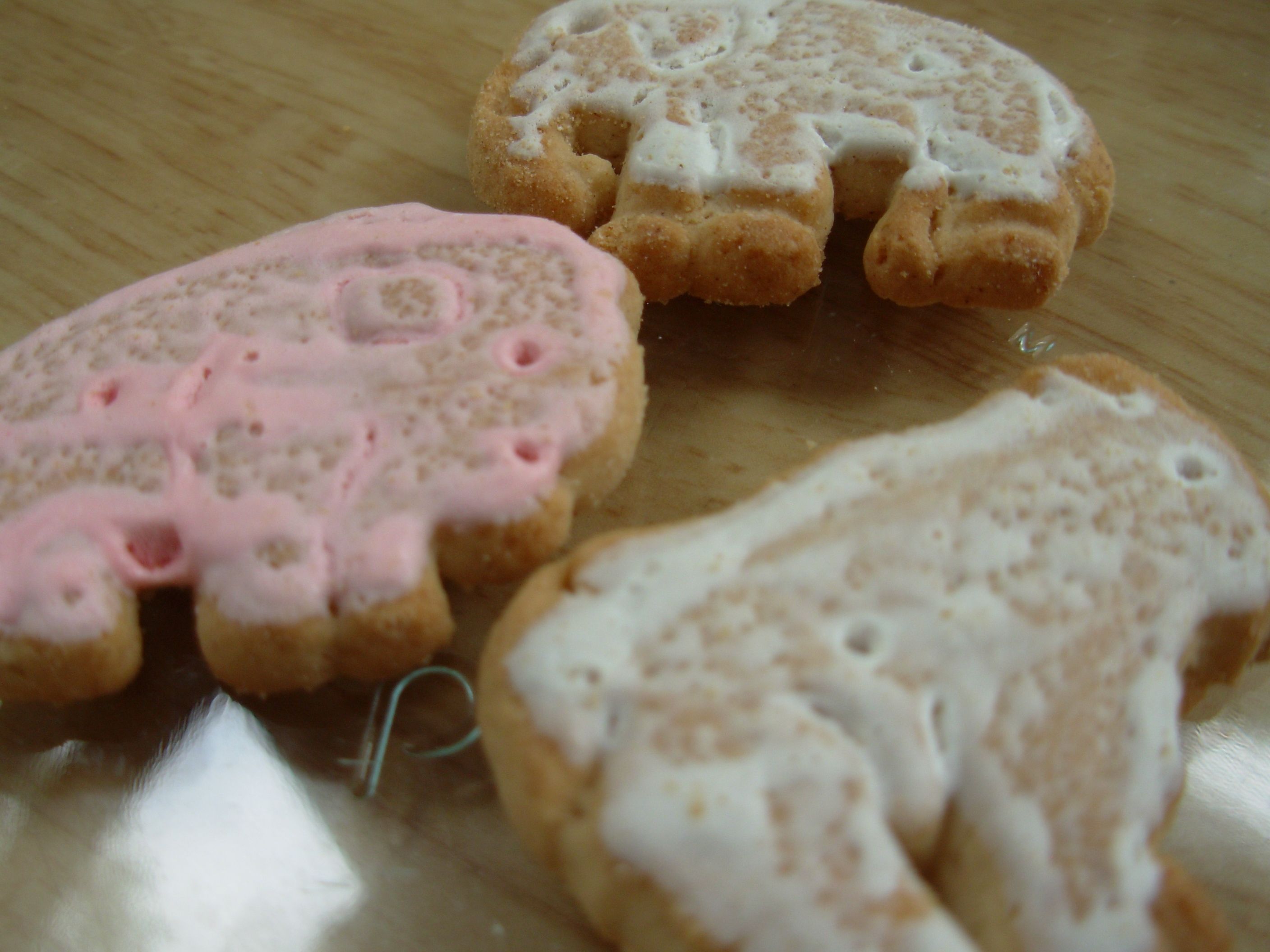 iced animal cookies.jpg